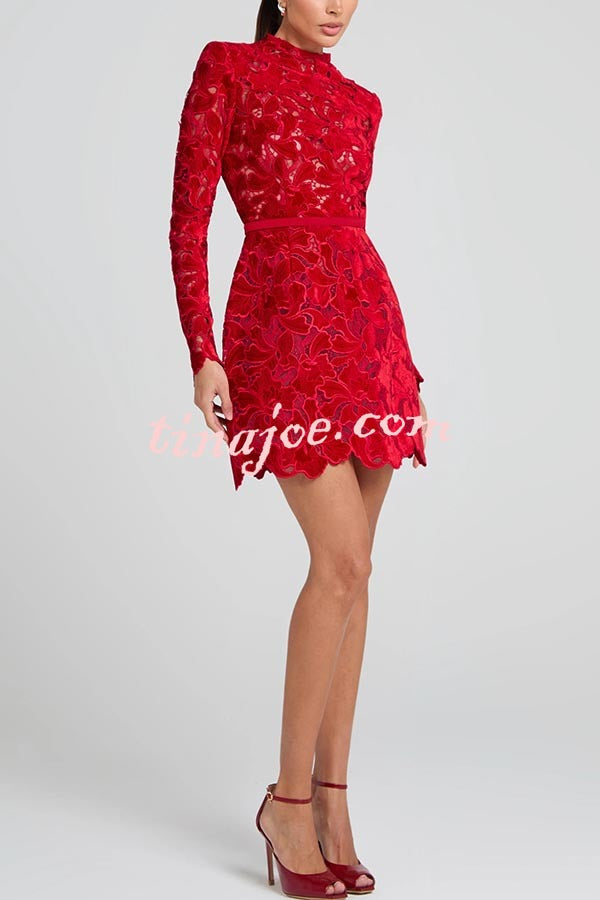 Vestido Lydia – Mini Tule com Renda Floral Bordada, Manga Longa e Cinto
