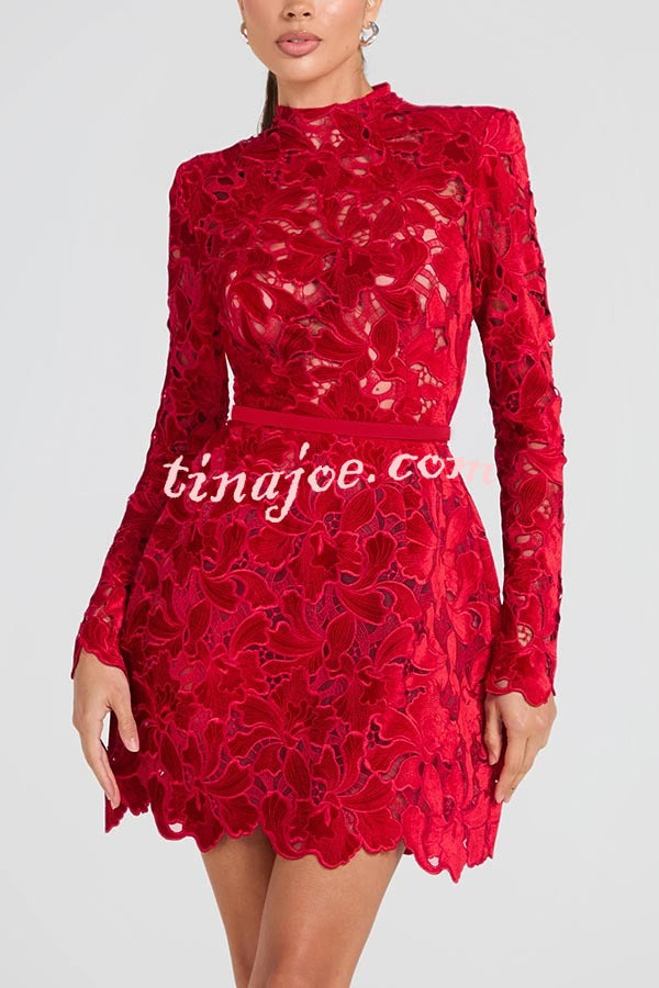 Vestido Lydia – Mini Tule com Renda Floral Bordada, Manga Longa e Cinto